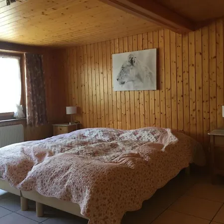 Appartement Frohmatt By Interhome Adelboden