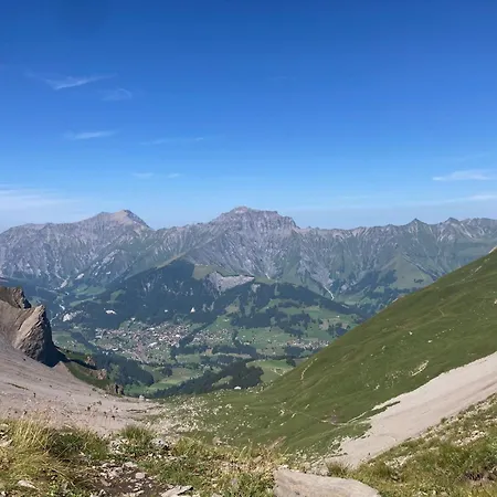 Appartement Frohmatt By Interhome Adelboden
